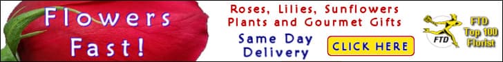 Flowers Fast.com approved gift image 3