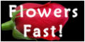 Flowers Fast.com approved Awin creative 9