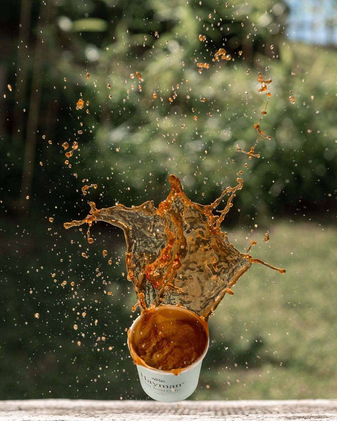 Hayman Coffee approved partner image 6